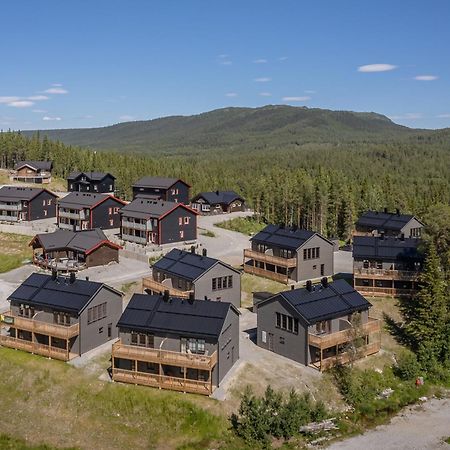 Parkstigens Fjaellby - Kavan Funasdalen Ngoại thất bức ảnh