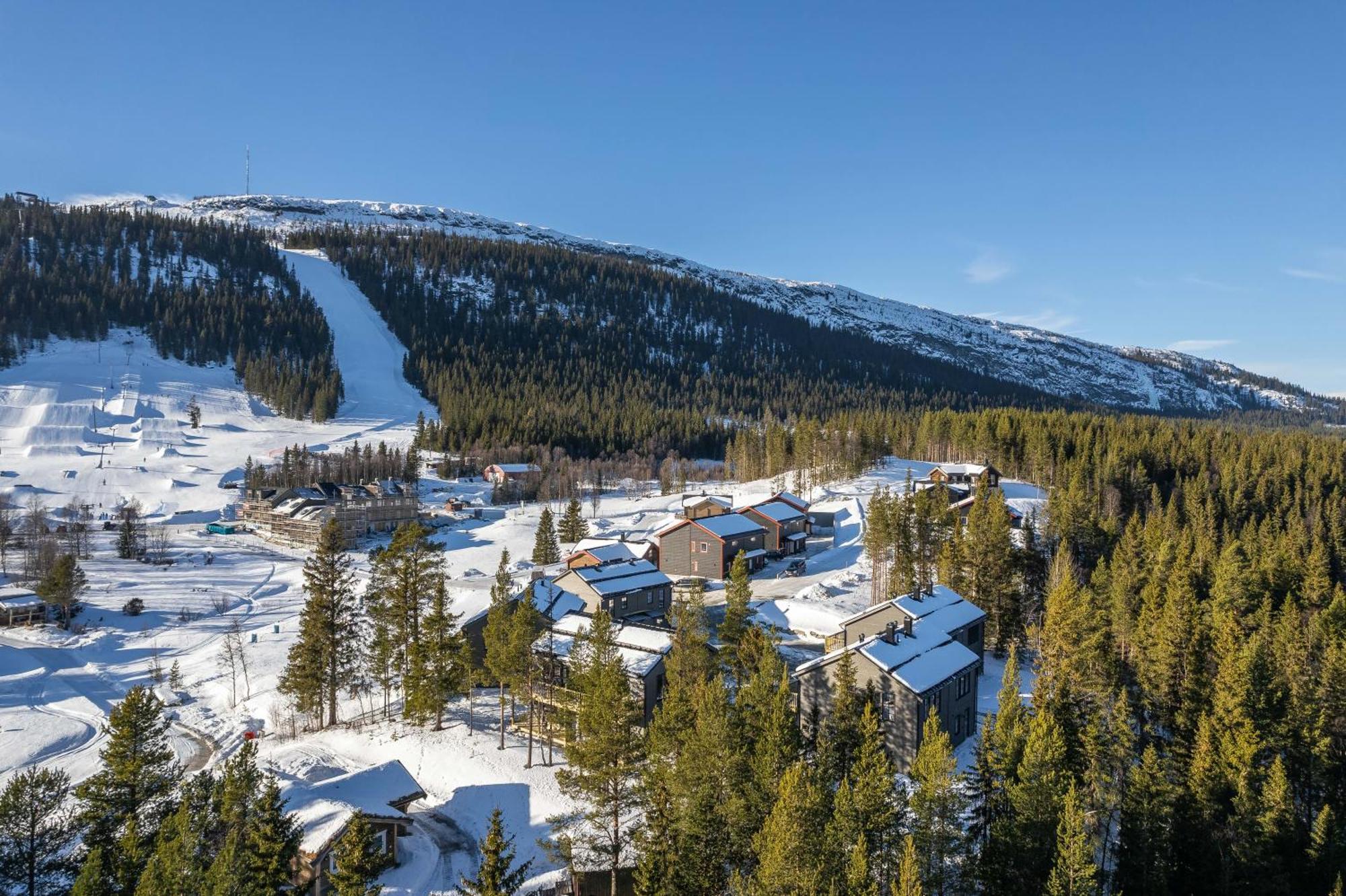 Parkstigens Fjaellby - Kavan Funasdalen Ngoại thất bức ảnh