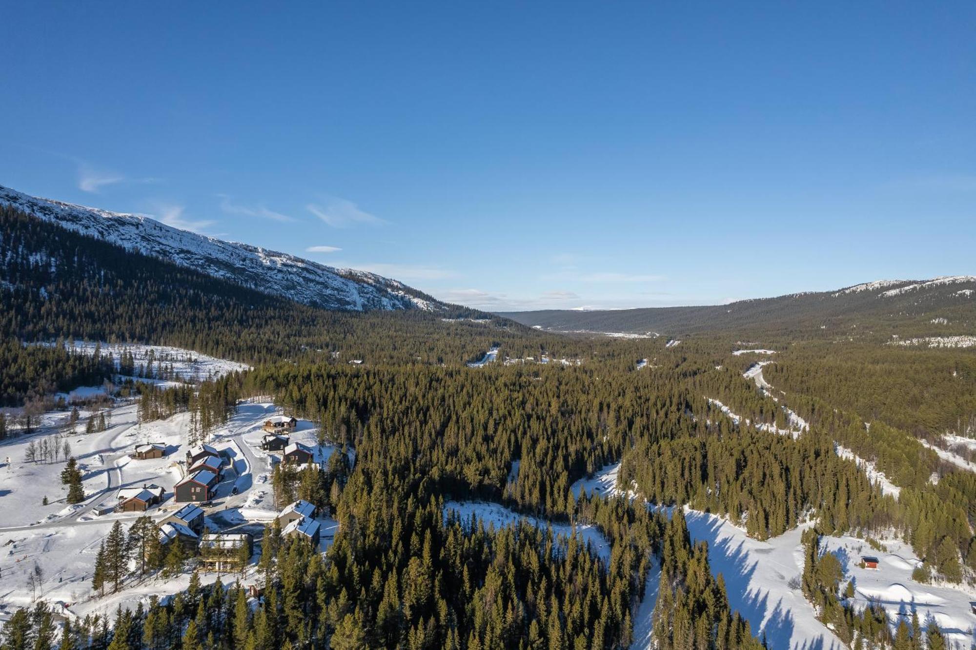 Parkstigens Fjaellby - Kavan Funasdalen Ngoại thất bức ảnh