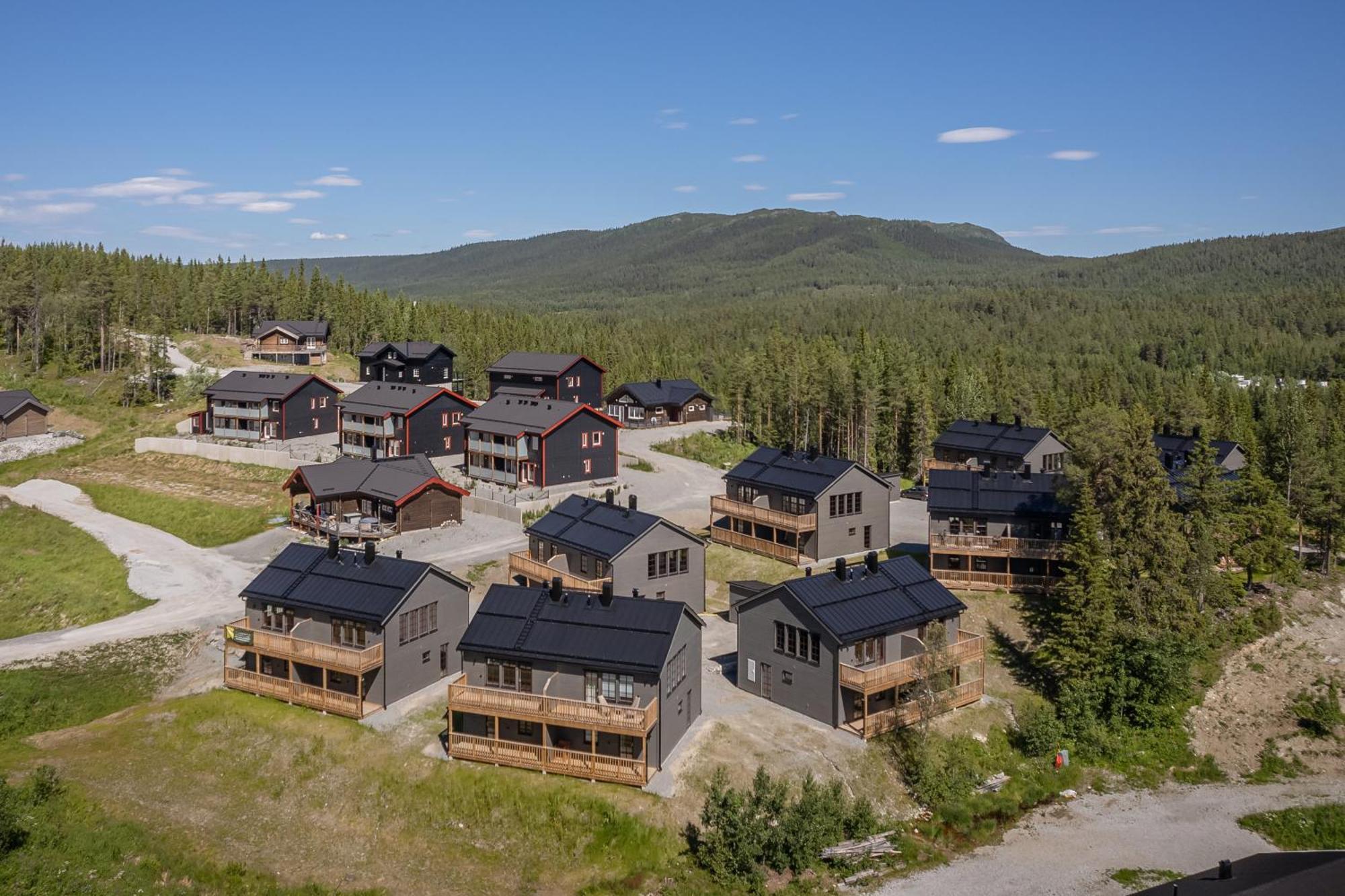 Parkstigens Fjaellby - Kavan Funasdalen Ngoại thất bức ảnh